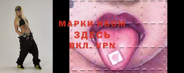 ГАЛЛЮЦИНОГЕННЫЕ ГРИБЫ Бородино
