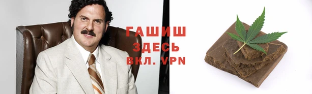 ГАЛЛЮЦИНОГЕННЫЕ ГРИБЫ Бородино
