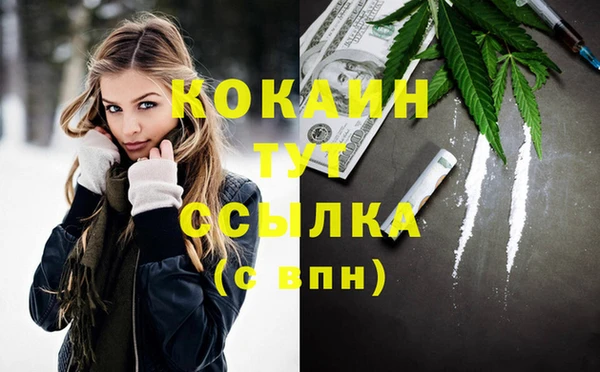 ГАЛЛЮЦИНОГЕННЫЕ ГРИБЫ Бородино