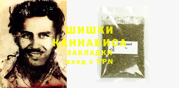 ГАЛЛЮЦИНОГЕННЫЕ ГРИБЫ Бородино